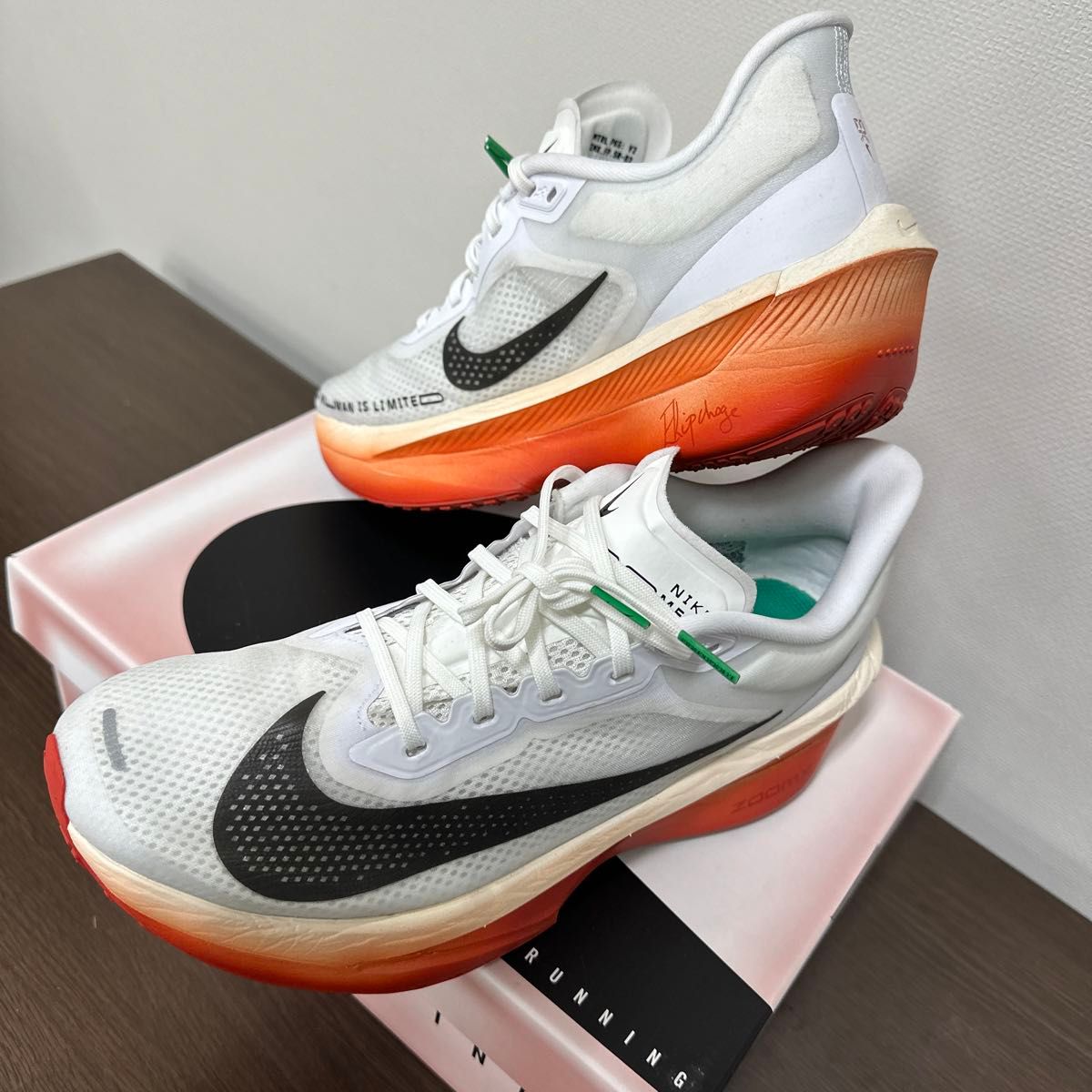 Nike Zoom Fly 6 Eliud Kipchoge ナイキ ズームフライ6 エリウド Nike Zoom Fly 6 Eliud Kipchoge ナイキ ズームフライ6 エリウド