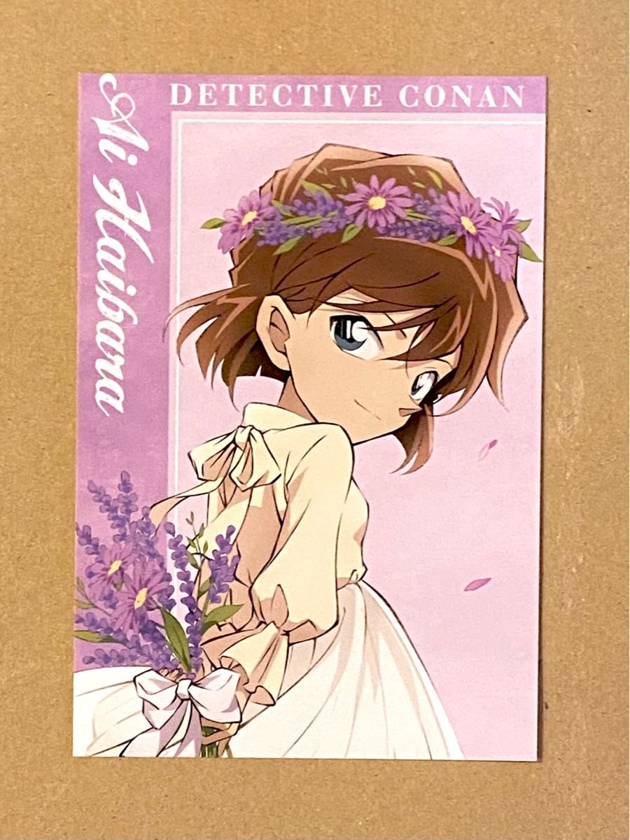灰原哀 名探偵コナン AGF25フェア アニメイト特典 ポストカード 灰原哀 名探偵コナン AGF25フェア アニメイト特典 ポストカード