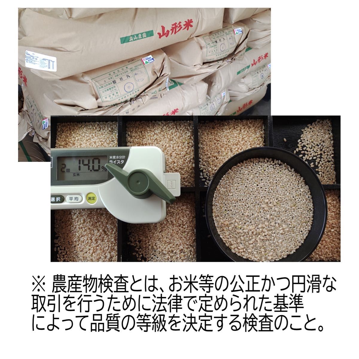 新米 お米 もち米10kg 【生産直売価格】ふわふわお餅の 新米 お米 もち米10kg 【生産直売価格】ふわふわお餅の