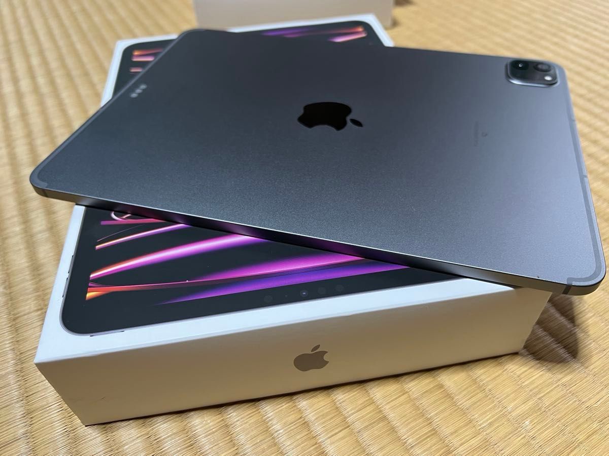 美品 iPad Pro 11インチ 第4世代 256GB Wi-Fi+Cellularモデル 美品 iPad Pro 11インチ 第4世代 256GB Wi-Fi+Cellularモデル