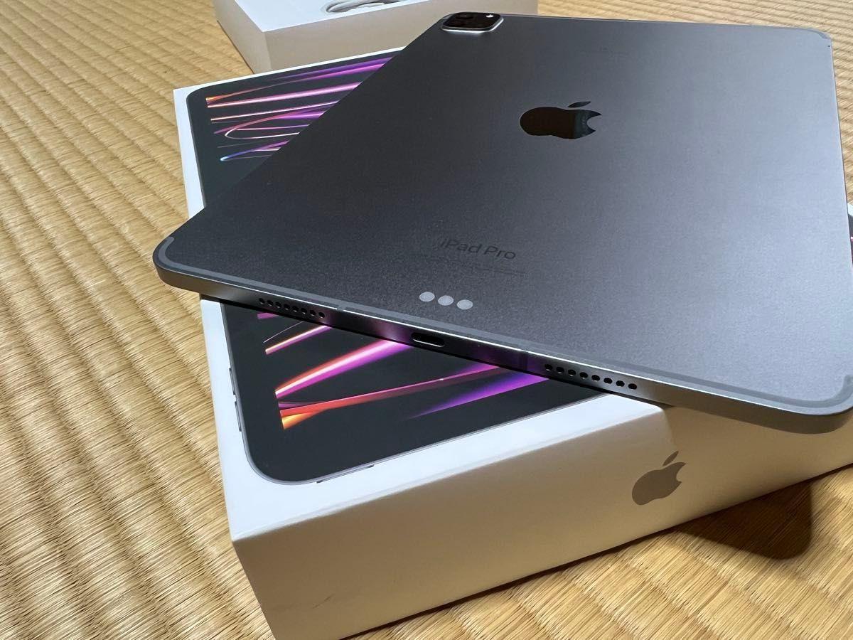 美品 iPad Pro 11インチ 第4世代 256GB Wi-Fi+Cellularモデル 美品 iPad Pro 11インチ 第4世代 256GB Wi-Fi+Cellularモデル