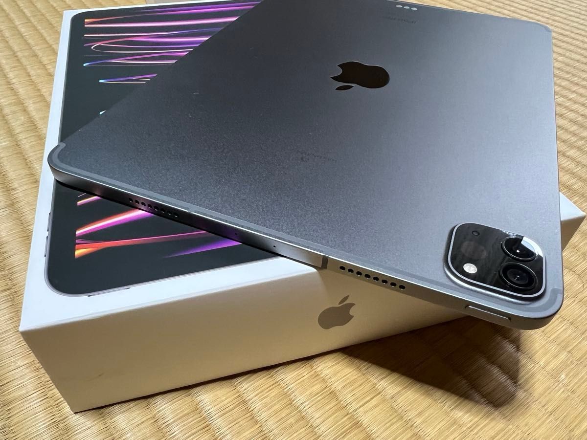美品 iPad Pro 11インチ 第4世代 256GB Wi-Fi+Cellularモデル 美品 iPad Pro 11インチ 第4世代 256GB Wi-Fi+Cellularモデル