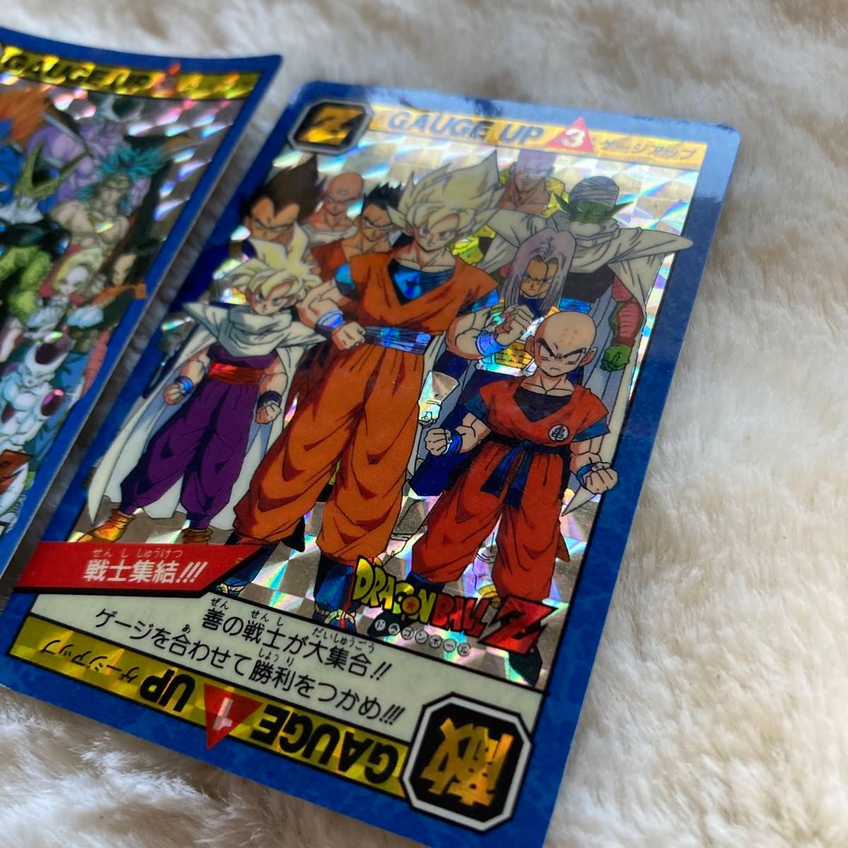 ドラゴンボール カードダス スーパーバトル 凶敵集結 戦士集結 W ドラゴンボール カードダス スーパーバトル 凶敵集結 戦士集結 W