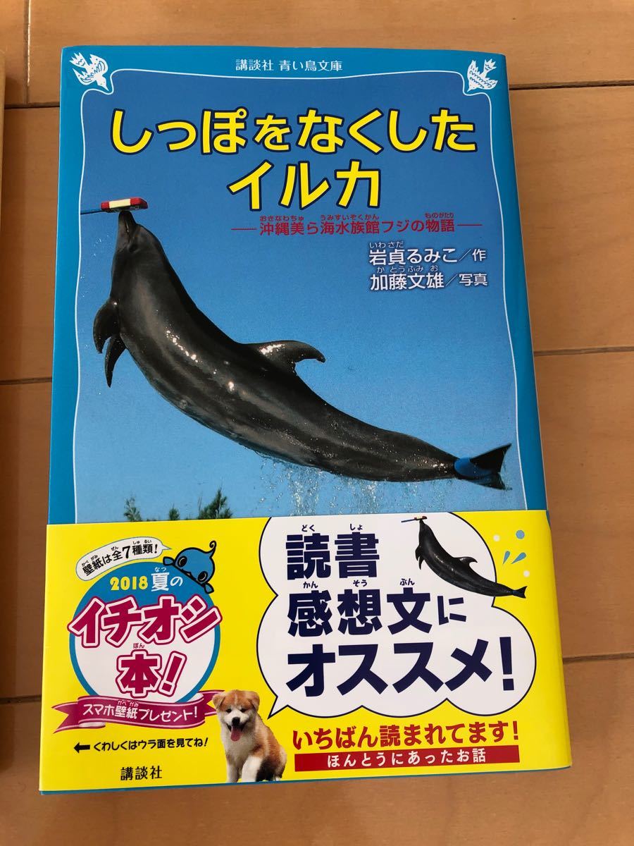 Paypayフリマ しっぽをなくしたイルカ 沖縄美ら海水族館フジの物語