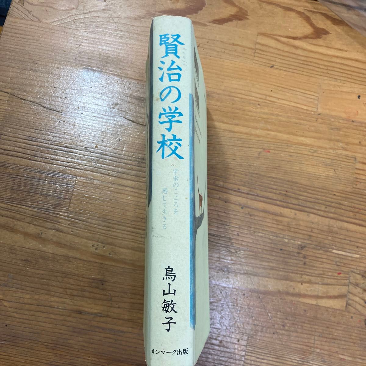 賢治の学校　宇宙のこころを感じて生きる 鳥山敏子／著