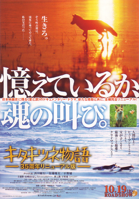 ★名作映画チラシ「キタキツネ物語－３５周年リニューアル版－」２０１３年公開_画像1