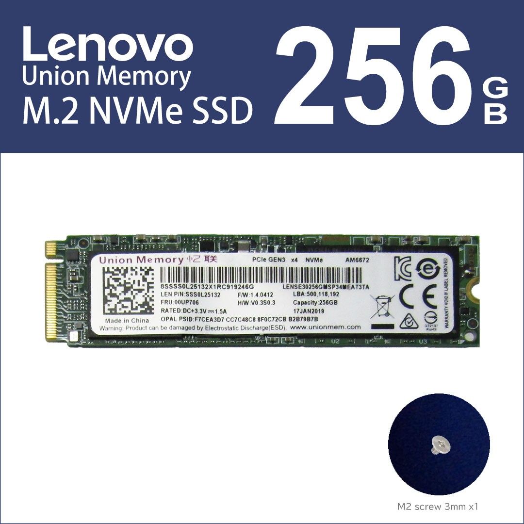 Lenovo Union Memory NVMe SSD 256GB 固定ねじ付き