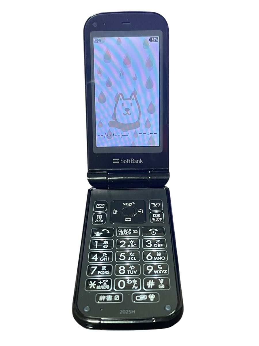 SoftBank 202SH 本体 ガラケー 携帯電話 3G 通電確認済み SoftBank 202SH 本体 ガラケー 携帯電話 3G 通電確認済み
