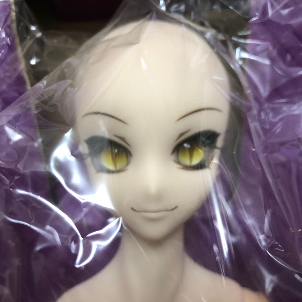アゾン AZONE アナザーリアリスティック 002放課後プレイ/彼女 アゾン AZONE アナザーリアリスティック 002放課後プレイ/彼女