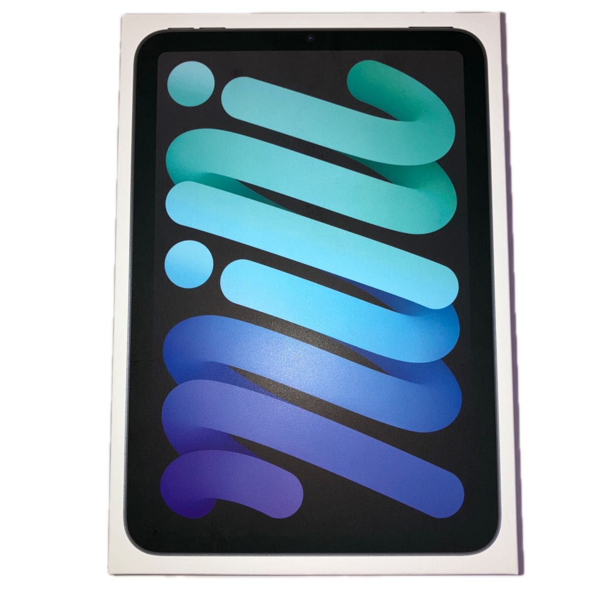 iPad mini WiFiモデル 128GB スペースグレイ 2024年モデル 新品 iPad mini WiFiモデル 128GB スペースグレイ 2024年モデル 新品