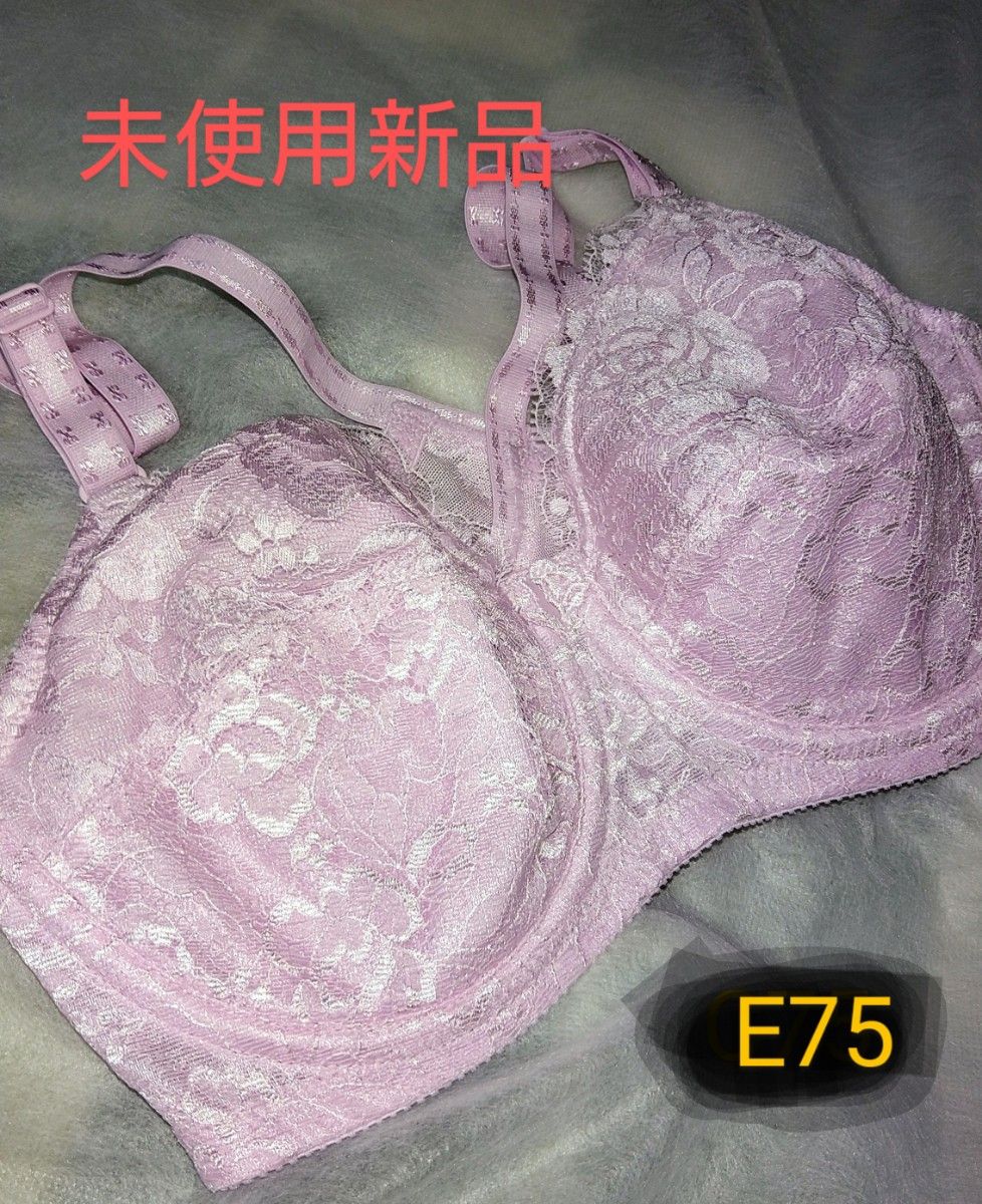 補正下着 ブラジャー シャンデール|Yahoo!フリマ(旧PayPayフリマ) 補正下着 ブラジャー シャンデール|Yahoo!フリマ(旧PayPayフリマ)