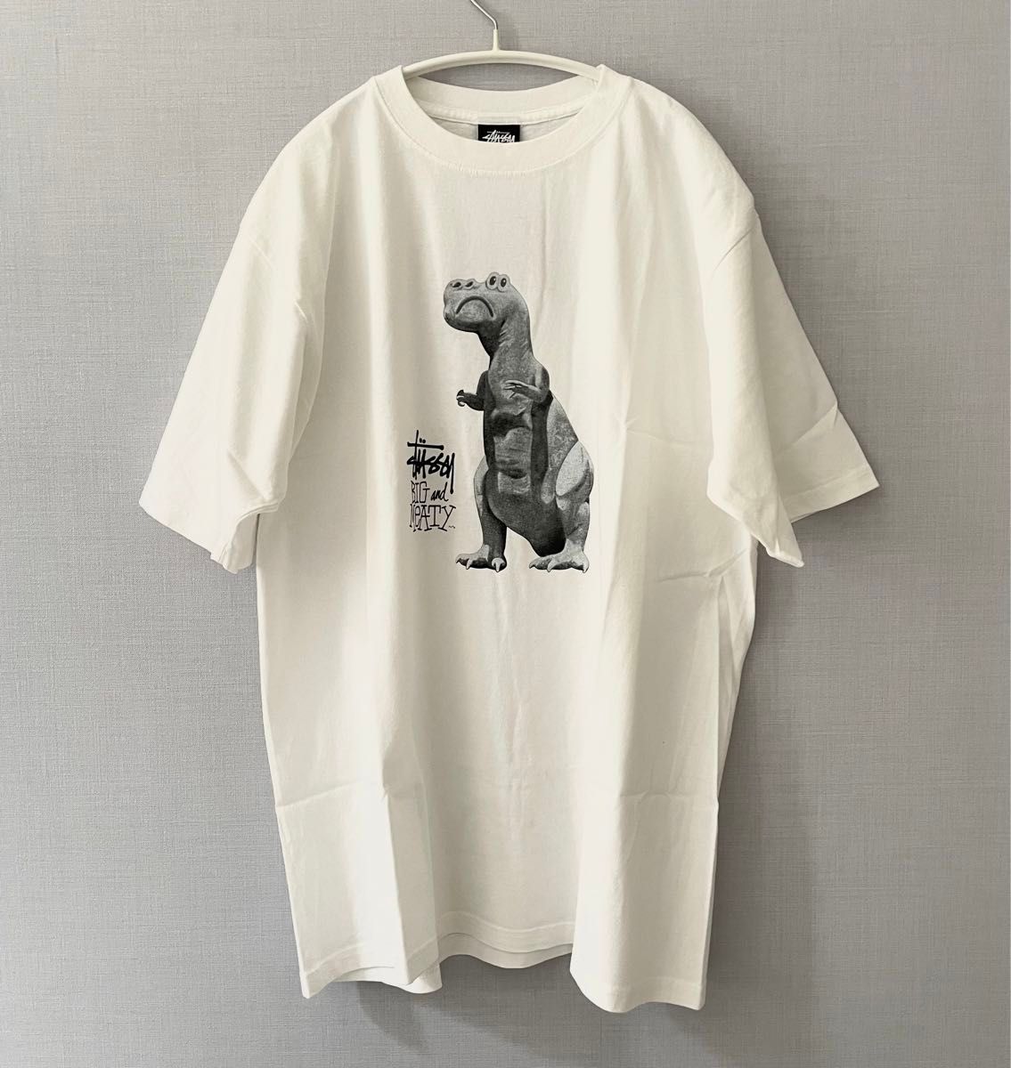 STUSSY ステューシー Big & Meaty Pigment Dyed 恐竜 きょう STUSSY ステューシー Big & Meaty Pigment Dyed 恐竜 きょう