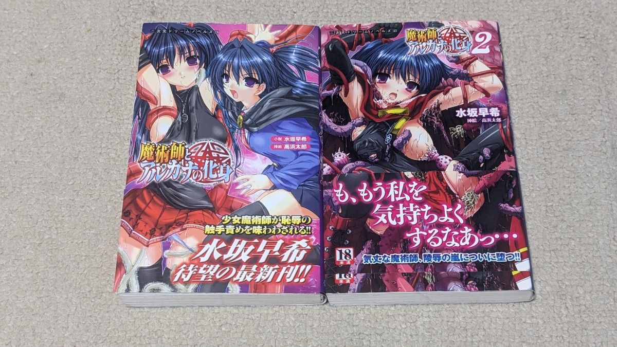 二次元 恥辱 女海賊騎士を恥辱が襲う!『宇宙海賊サラ』の紹介! - DLチャンネル みんなで作る二次元情報サイト!