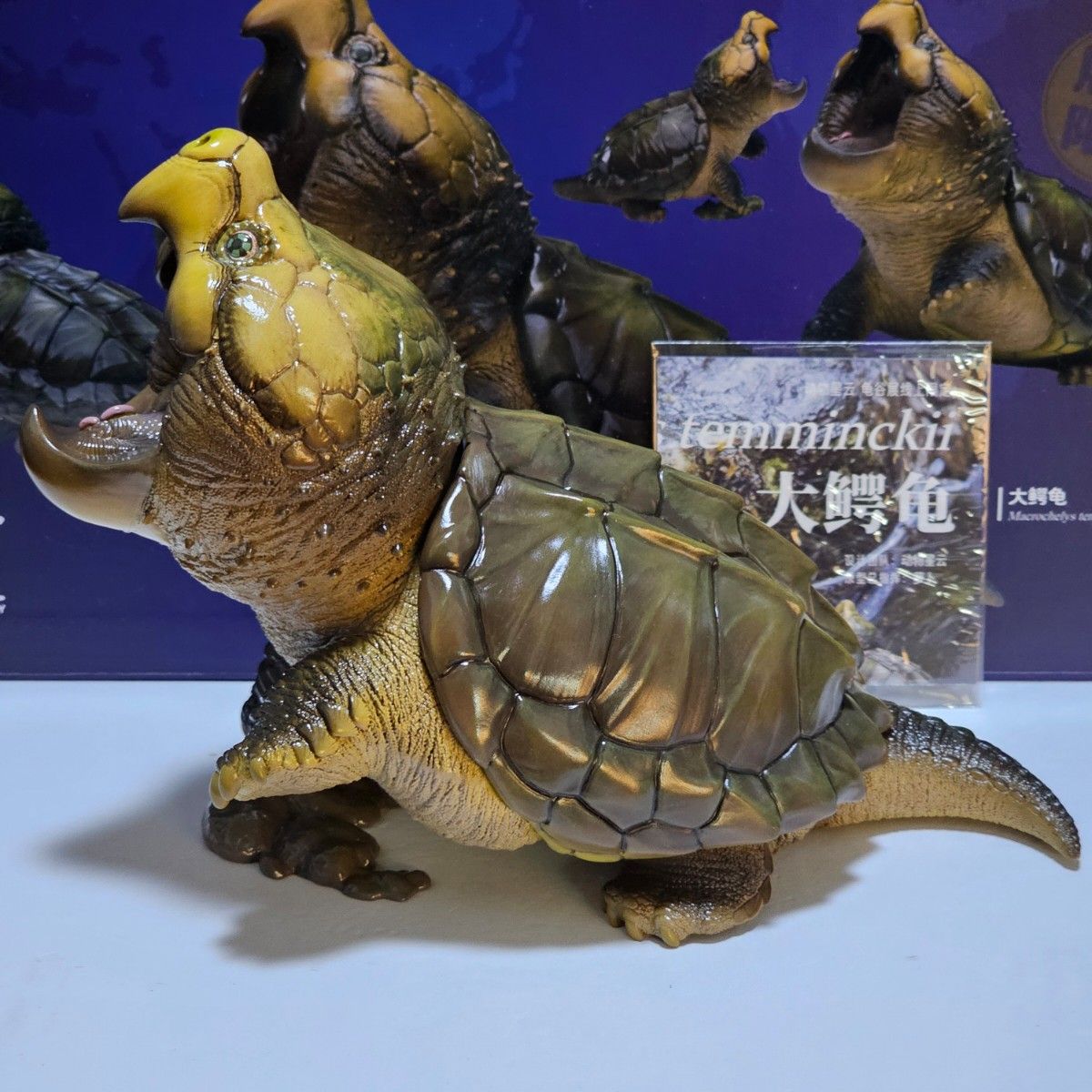 動物の惑星 ワニガメPLUS(グリーン) ラスト1体 2024亀谷展 動物の惑星 ワニガメPLUS(グリーン) ラスト1体 2024亀谷展