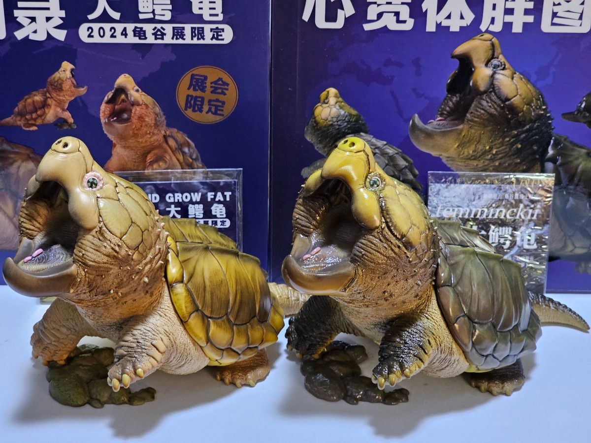 動物の惑星 ワニガメPLUS(グリーン) ラスト1体 2024亀谷展 動物の惑星 ワニガメPLUS(グリーン) ラスト1体 2024亀谷展