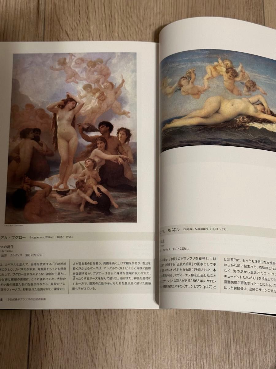 オルセー美術館の名画１０１選　バルビゾン派から印象派、世紀末の絵画まで （アートセレクション） 島田紀夫／監修