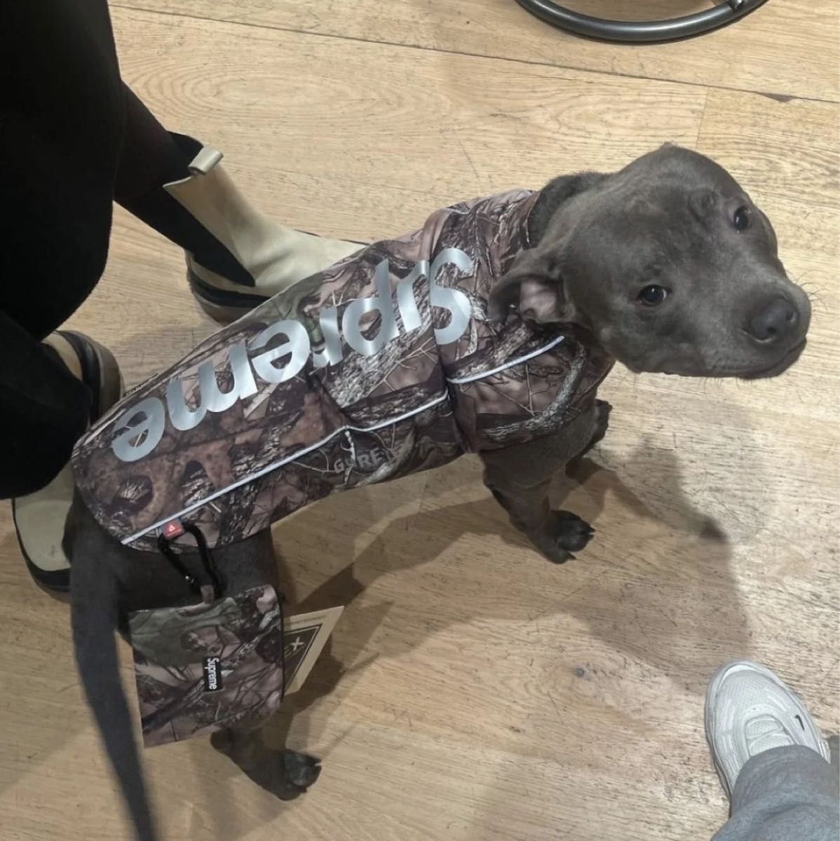 Supreme GORE-TEX Dog Jacket シュプリーム ゴアテックス ドッグ Supreme GORE-TEX Dog Jacket シュプリーム ゴアテックス ドッグ