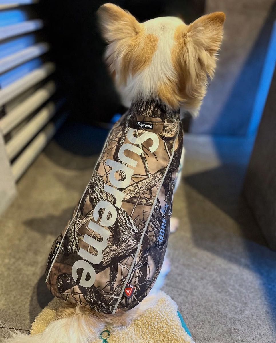 Supreme GORE-TEX Dog Jacket シュプリーム ゴアテックス ドッグ Supreme GORE-TEX Dog Jacket シュプリーム ゴアテックス ドッグ