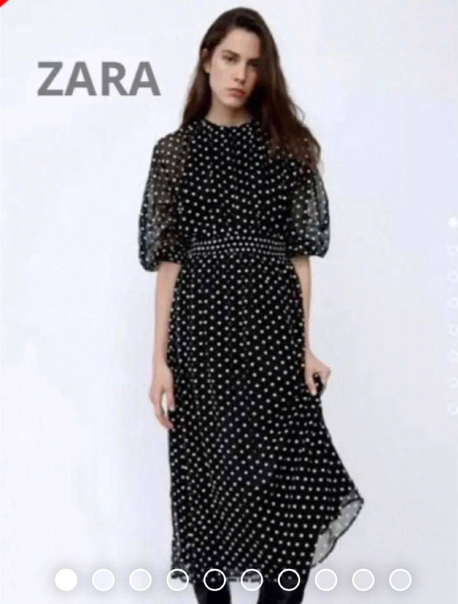 ZARAザラ フラワー花柄刺繍ロングワンピース シフォンシースルー ZARAザラ フラワー花柄刺繍ロングワンピース シフォンシースルー