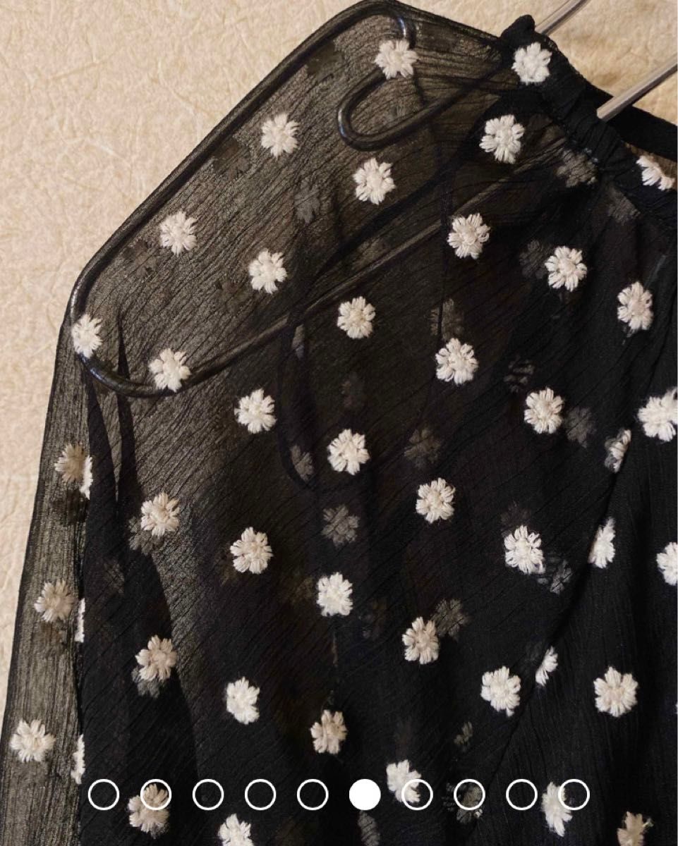 ZARAザラ フラワー花柄刺繍ロングワンピース シフォンシースルー ZARAザラ フラワー花柄刺繍ロングワンピース シフォンシースルー