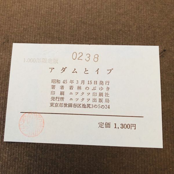 篠山紀信「晴れた日」初版 こまる 写真集 長嶋茂雄 オノ・ヨーコ 篠山紀信「晴れた日」初版 こまる 写真集 長嶋茂雄 オノ・ヨーコ
