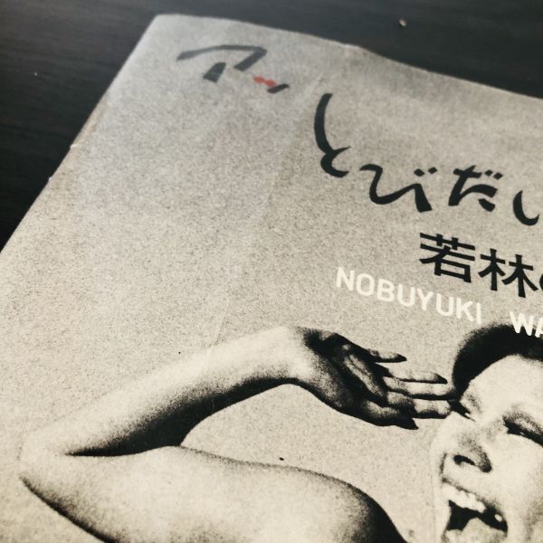 若林のぶゆき 写真集 セット アッ とびだした女たち アダムと 若林のぶゆき 写真集 セット アッ とびだした女たち アダムと