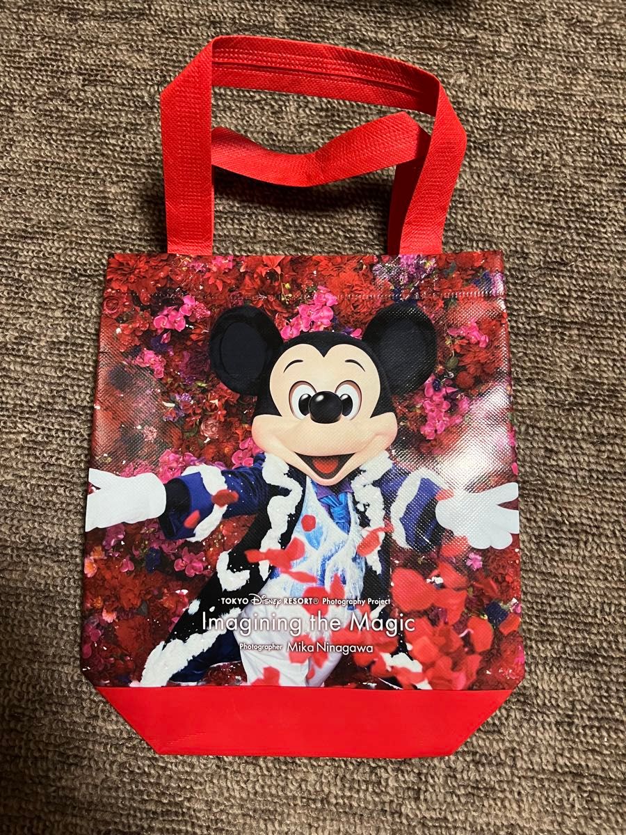 ディズニー 35周年 イマジニングザマジック 写真集 バッグ ディズニー 35周年 イマジニングザマジック 写真集 バッグ