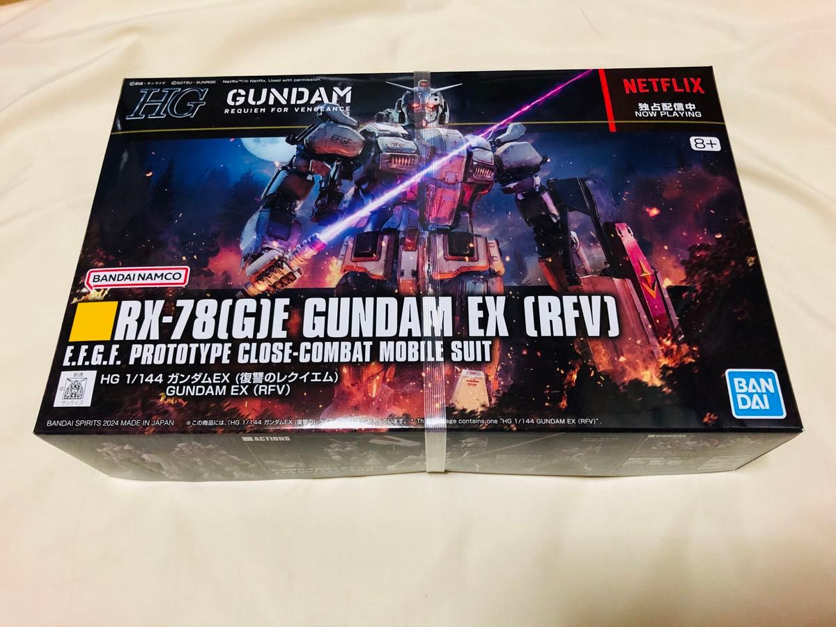 HG ガンダムEX 復讐のレクイエム ガンプラ GUNDAM EX RFV HG ガンダムEX 復讐のレクイエム ガンプラ GUNDAM EX RFV