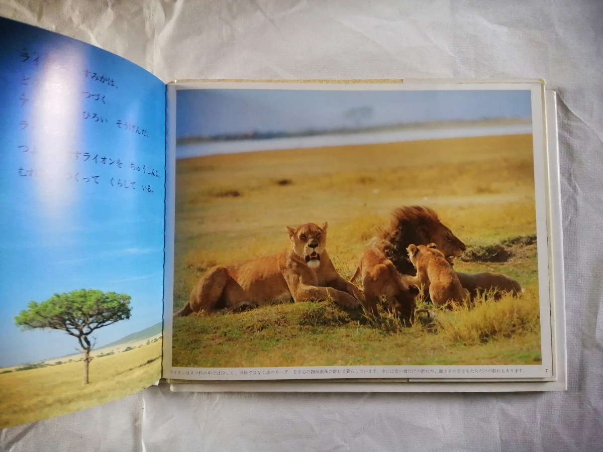 e было использовано ... лев детский наука книга с картинками павильон ..... мир детский главный офис выпускать книга@1060