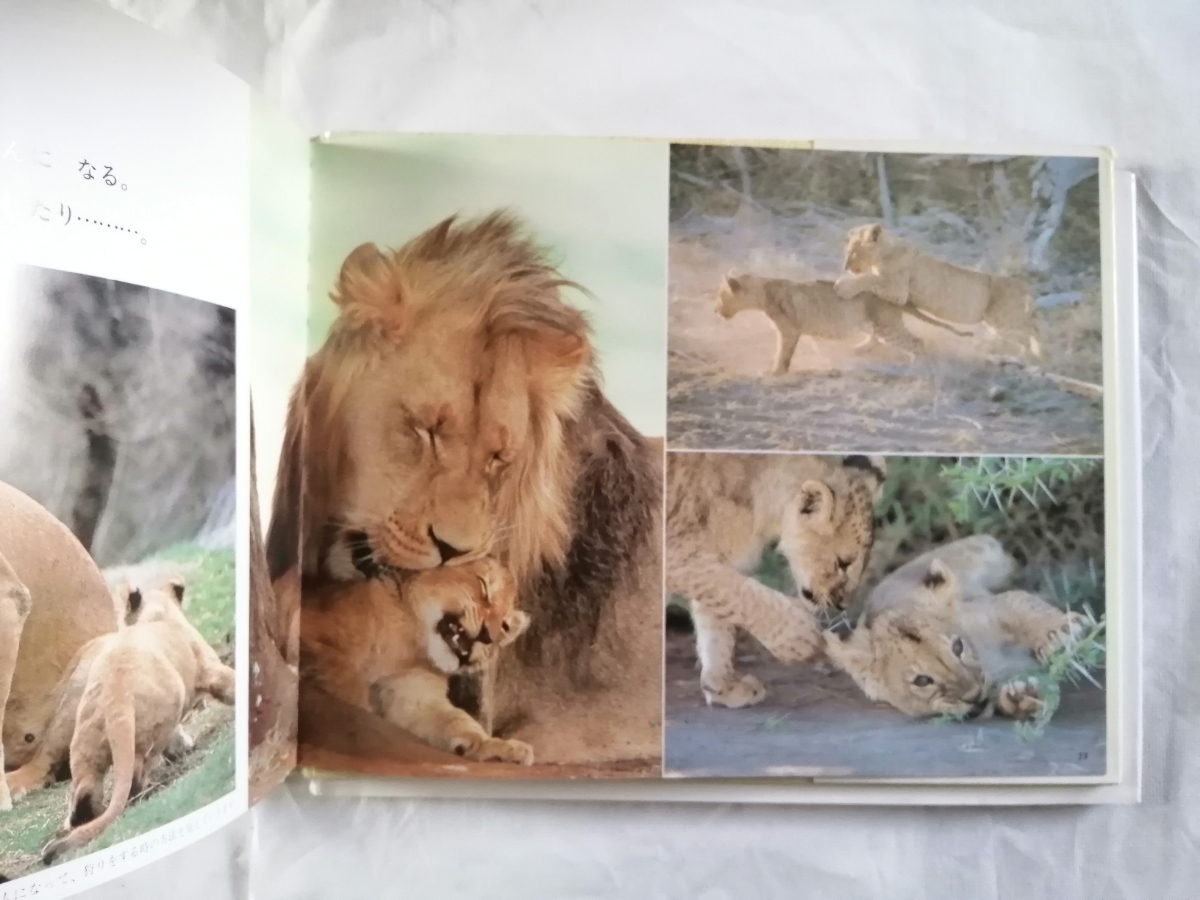 e было использовано ... лев детский наука книга с картинками павильон ..... мир детский главный офис выпускать книга@1060