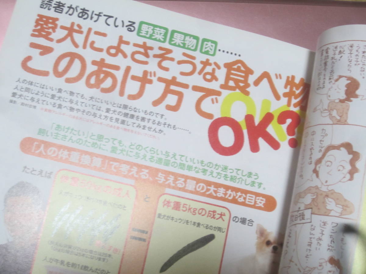 ★雑誌【いぬのきもち(vol.81)】2009年2月号・・・ペット誌/犬の気持ち/愛犬の一生と飼い主さんができること/食べ物このあげ方でOK?/_画像5