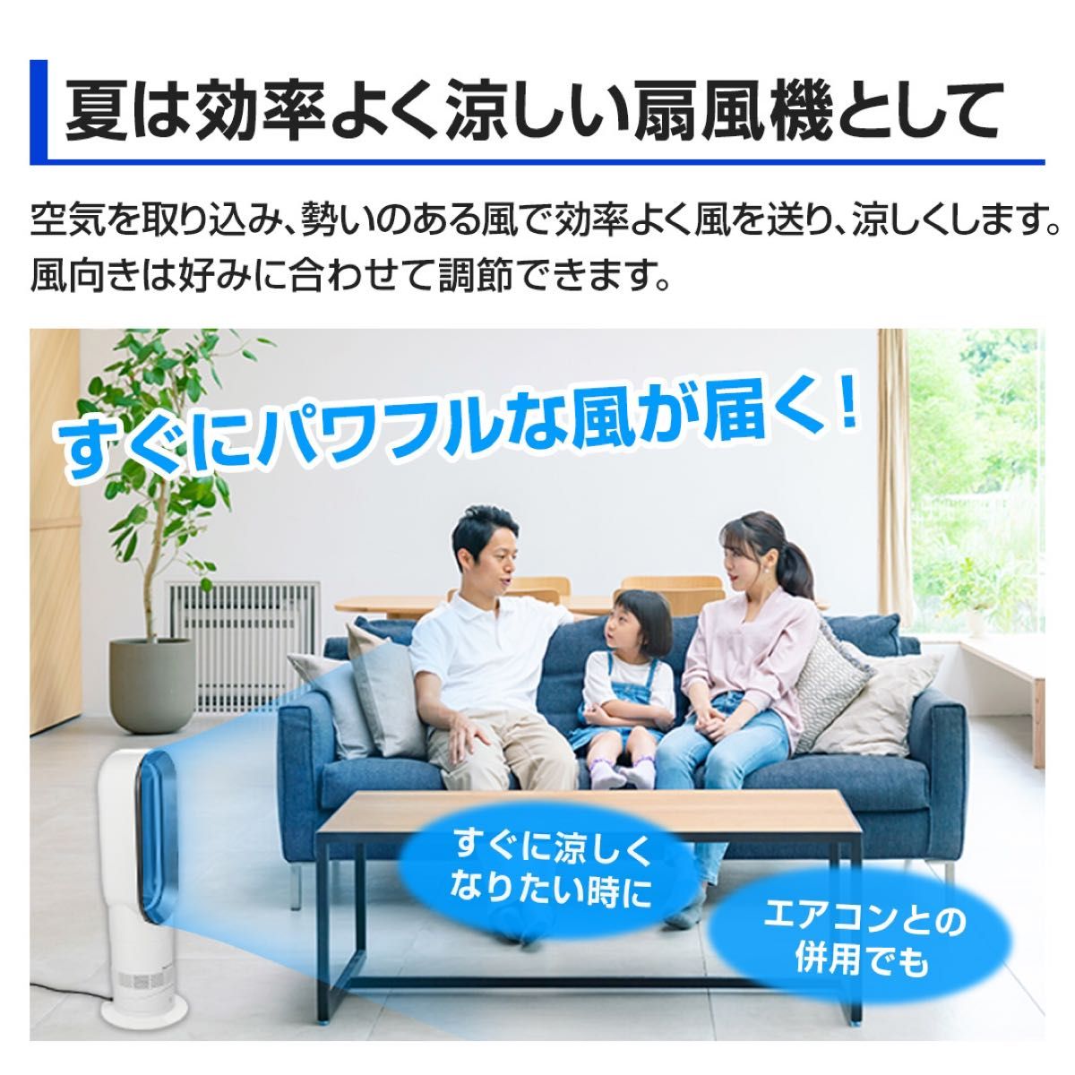 2024年最新モデル ジャパネット ダイソン Hot+Cool AM09 ファン 2024年最新モデル ジャパネット ダイソン Hot+Cool AM09 ファン