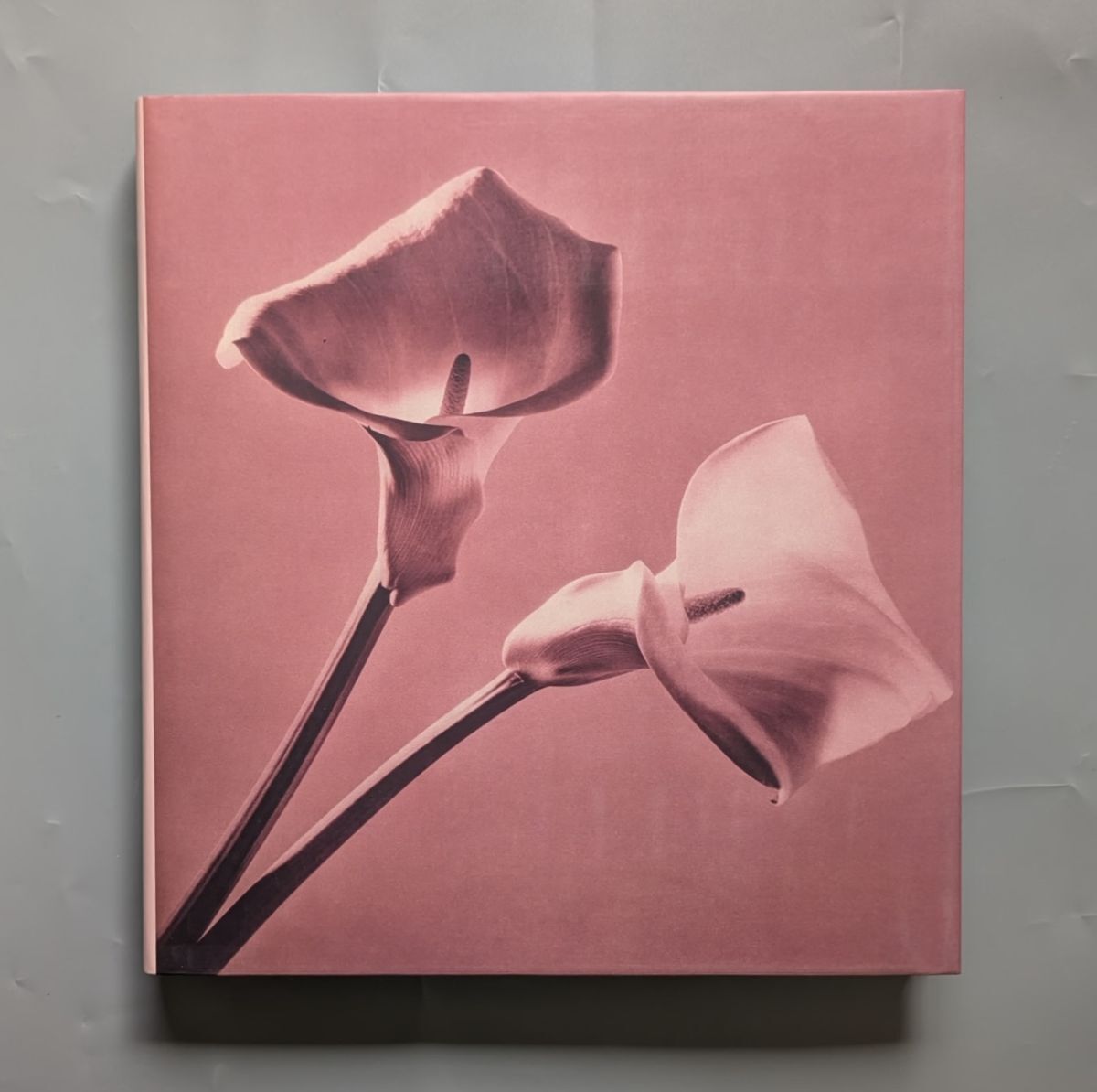 ロバート・メイプルソープ 写真集 Pistils Robert Mapplethorpe ロバート・メイプルソープ 写真集 Pistils Robert Mapplethorpe