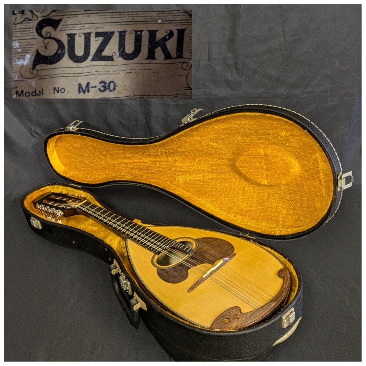 SUZUKI スズキ マンドリン M-30 ケース付 萬】 マンドリン SUZUKI 鈴木バイオリン M-30 弦楽器 ハード