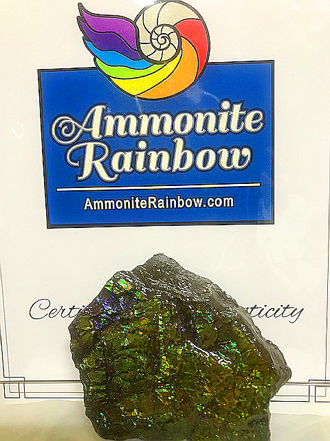 Ammolite最上級SA虹の輝き宝石質『アンモライト』★100％正規品本物補償書付き「幸運・才能・想像力」1月、2月誕生石　入手困難_100％正規品本物です(*´▽｀*)