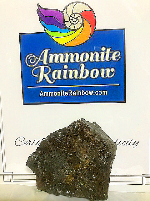 Ammolite最上級SA虹の輝き宝石質『アンモライト』★100％正規品本物補償書付き「幸運・才能・想像力」1月、2月誕生石　入手困難_裏面