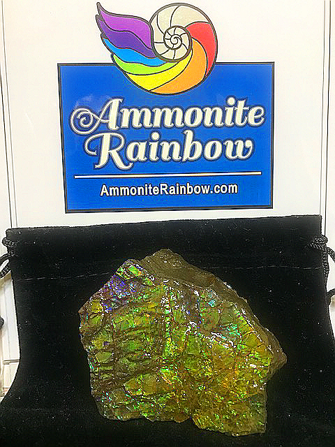 Ammolite最上級SA虹の輝き宝石質『アンモライト』★100％正規品本物補償書付き「幸運・才能・想像力」1月、2月誕生石　入手困難_持ち運びに便利なポーチ付き！他にも得点有