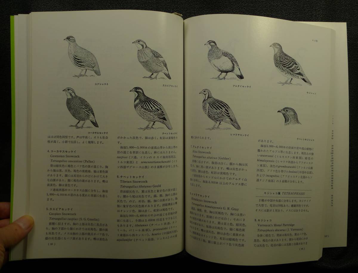 超希少】【美品】古本 世界の動物 分類と飼育10Ⅰ キジ目 超希少】【美品】古本 世界の動物 分類と飼育10Ⅰ キジ目