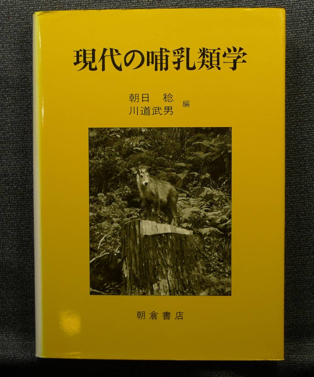 【超希少】【美品】古本　現代の哺乳類学　著者：朝日稔・川道武男　（株）朝倉書店_画像1