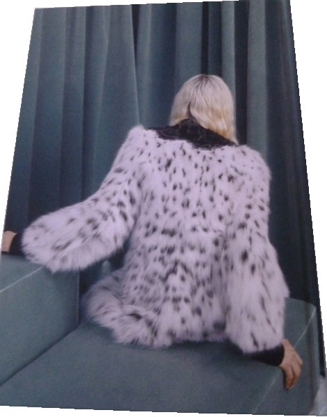 280/フェンディ FENDI FALL/WINTER 2019-2020 FUR Collection Catalog ＆ Price list ＆ ロゴ入り収納ケース/未使用 非売品_画像3