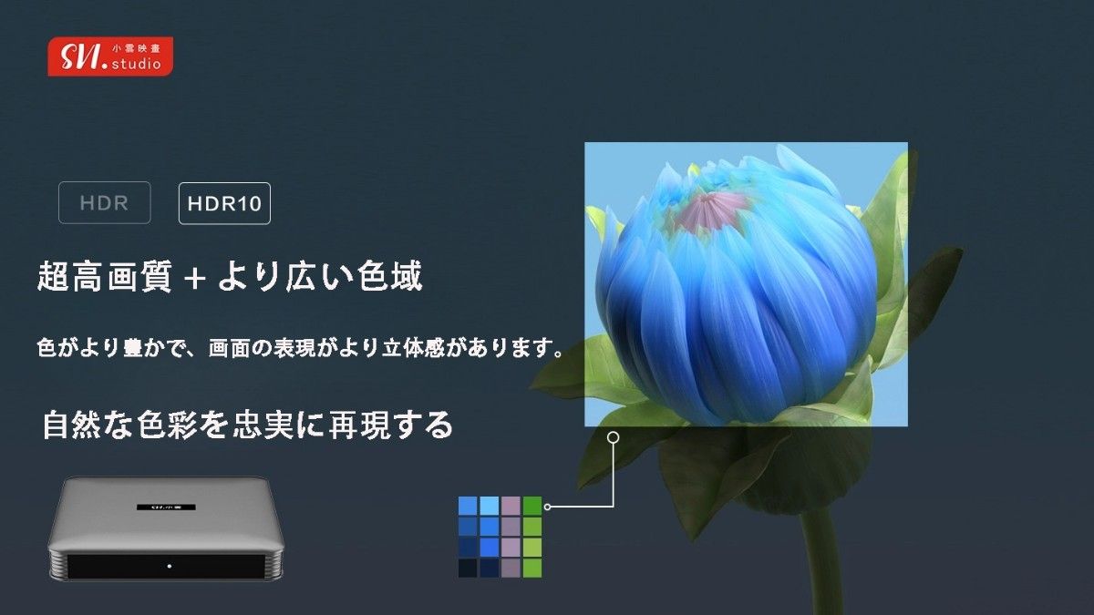 新品 SviCloud 10P小雲TVBOX テレビボックス最新世代のセット 新品 SviCloud 10P小雲TVBOX テレビボックス最新世代のセット