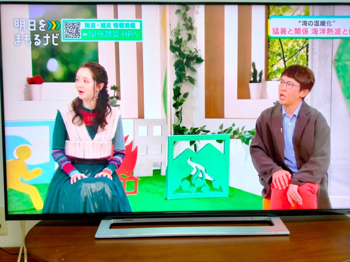 東芝 レグザ 4K 50インチ 液晶テレビ 50M520X 2019年製 リモコン 東芝 レグザ 4K 50インチ 液晶テレビ 50M520X 2019年製 リモコン