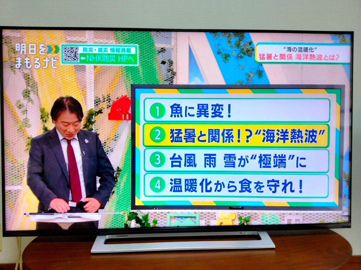 東芝 レグザ 4K 50インチ 液晶テレビ 50M520X 2019年製 リモコン 東芝 レグザ 4K 50インチ 液晶テレビ 50M520X 2019年製 リモコン