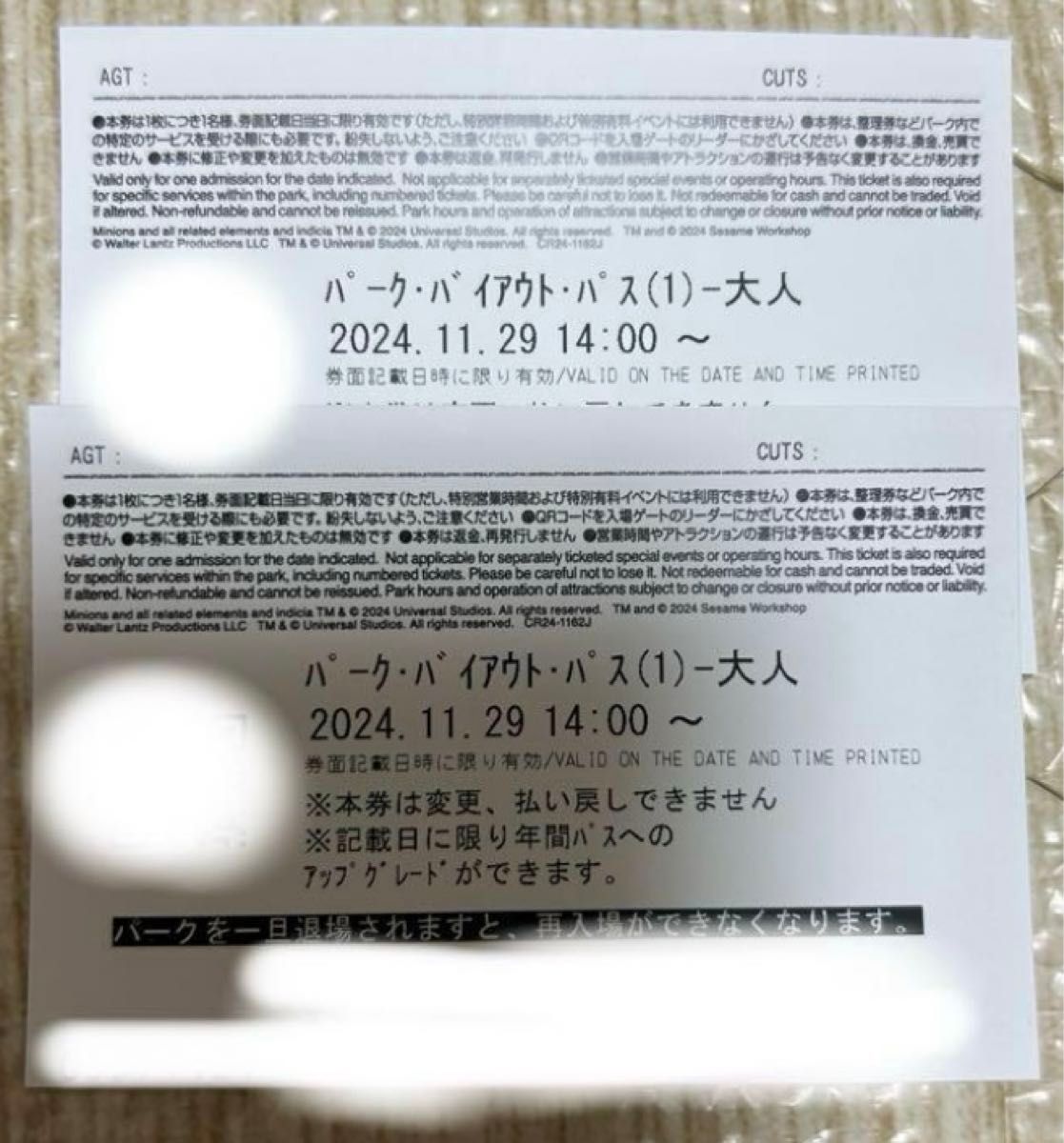 ユニバーサルスタジオジャパンチケット 11月29日 2枚セット 年 ユニバーサルスタジオジャパンチケット 11月29日 2枚セット 年