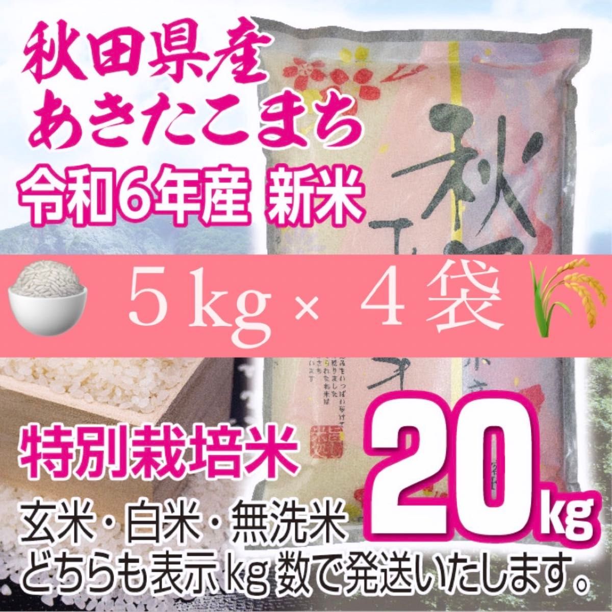 農家直送 秋田県産 令和6年新米 あきたこまち 20kg 特別栽培米 新米秋田小町