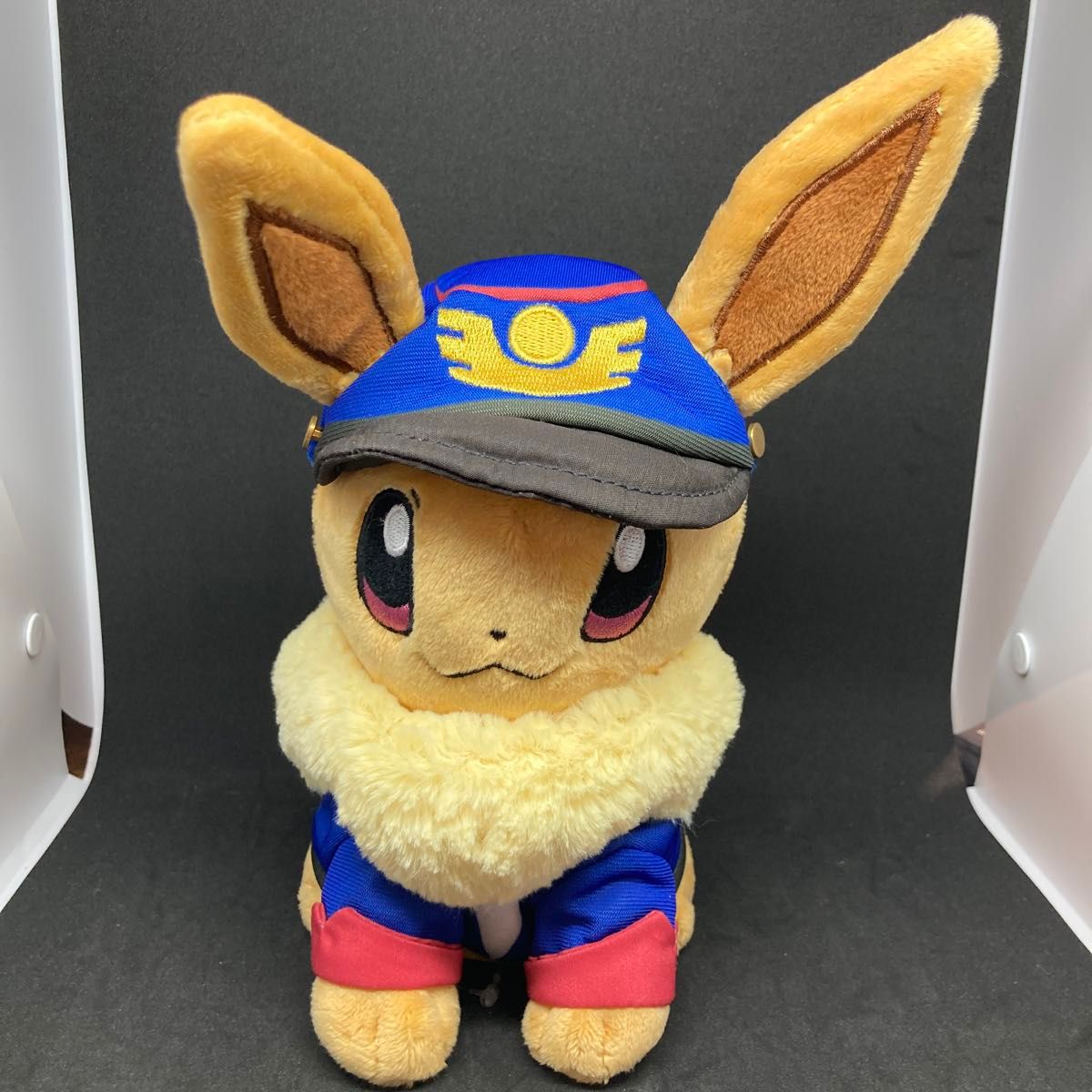 ポケモンセンターオリジナル ぬいぐるみ 『ポケモン ピカ・ブイ ポケモンセンターオリジナル ぬいぐるみ 『ポケモン ピカ・ブイ