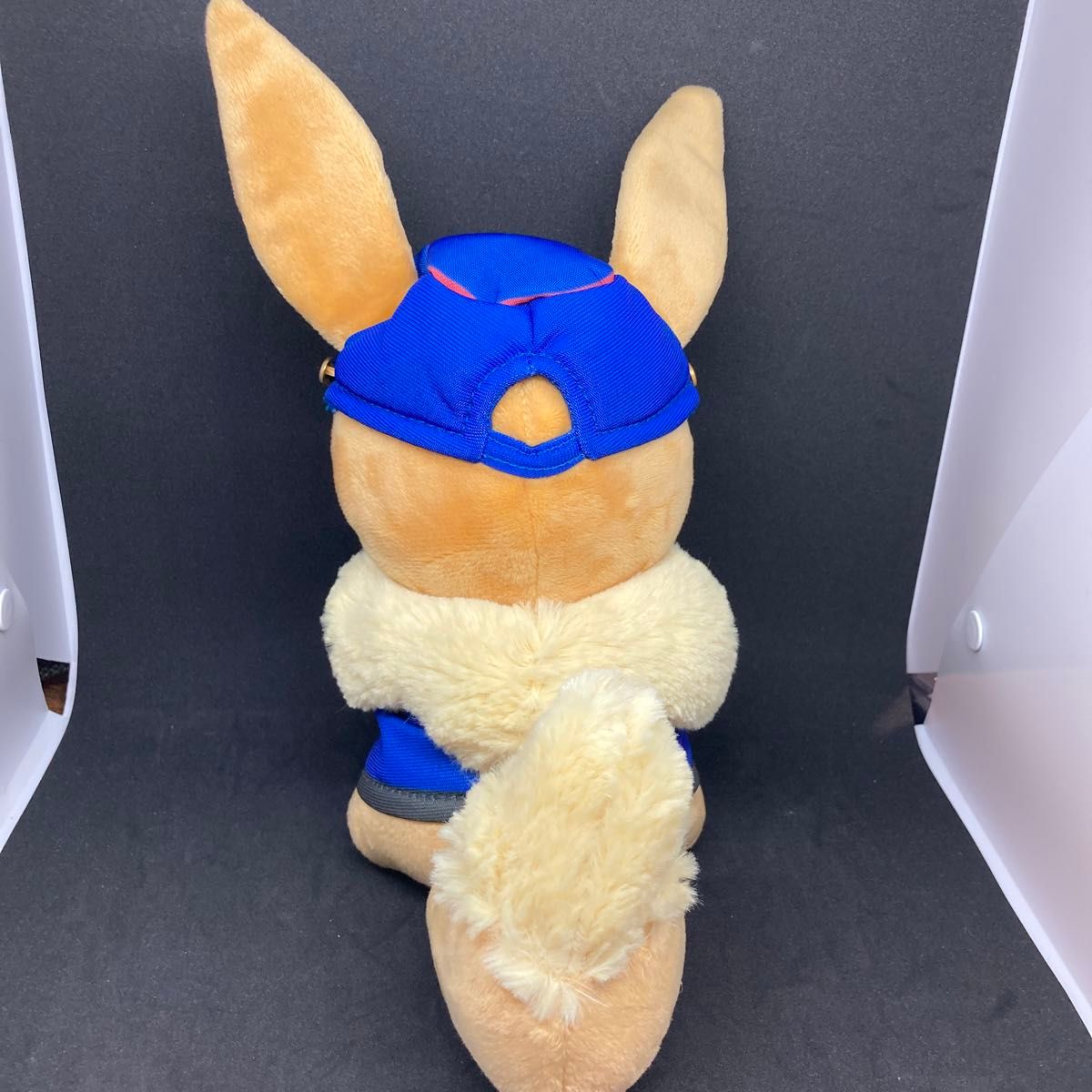 ポケモンセンターオリジナル ぬいぐるみ 『ポケモン ピカ・ブイ ポケモンセンターオリジナル ぬいぐるみ 『ポケモン ピカ・ブイ