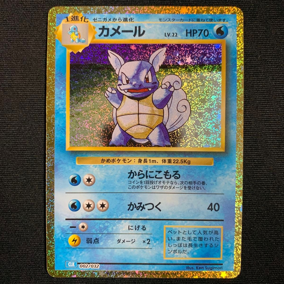 他の人はこちらも検索 PSA10 連番 ゼニガメ カメール カメックス 他の人はこちらも検索 PSA10 連番 ゼニガメ カメール カメックス