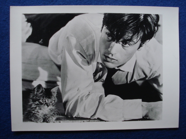 【スチール写真/Still Photo】映画「危険がいっぱい」8枚 アラン・ドロン/ジェーン・フォンダ/ルネ・クレマン/The Love Cage /Alain Delon_画像4