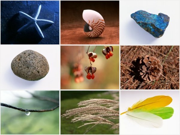 [ включение в покупку OK] материалы словарь # Vol.54 #. стать природа мелкие вещи сборник # авторское право свободный фотография материалы сборник # высокое разрешение фотография # дизайн .!!